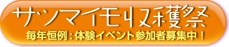 サツマイモ収穫祭告知へ