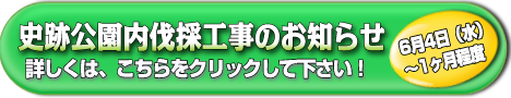 公園内伐採のお知らせ